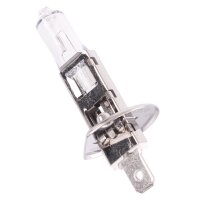 TECPO H1 Glühbirnen 12V 55W  P14.5S