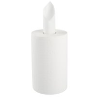 10x TECPO Putzrolle 2-lagig, 23x30 cm, WEIß-300