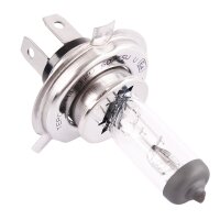 20x TECPO H4 Glühbirne 12V 60/55W P43T