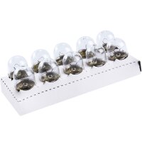 TECPO Glühbirnen R10W 12V 10W BA15S, 20 Stück